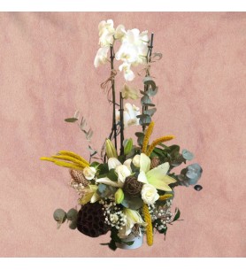 Orchid w/ Lily